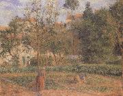 Camille Pissarro Vegetable Garden at the Hermitage near Pontoise Germany oil painting artist